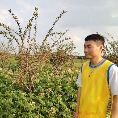 37岁岁广东单身帅哥 - 泸州吉缘网